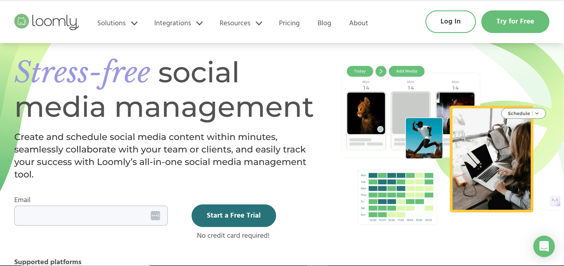 Loomly website image