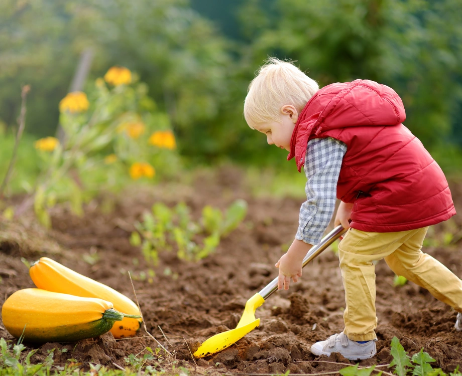 Garden Helper