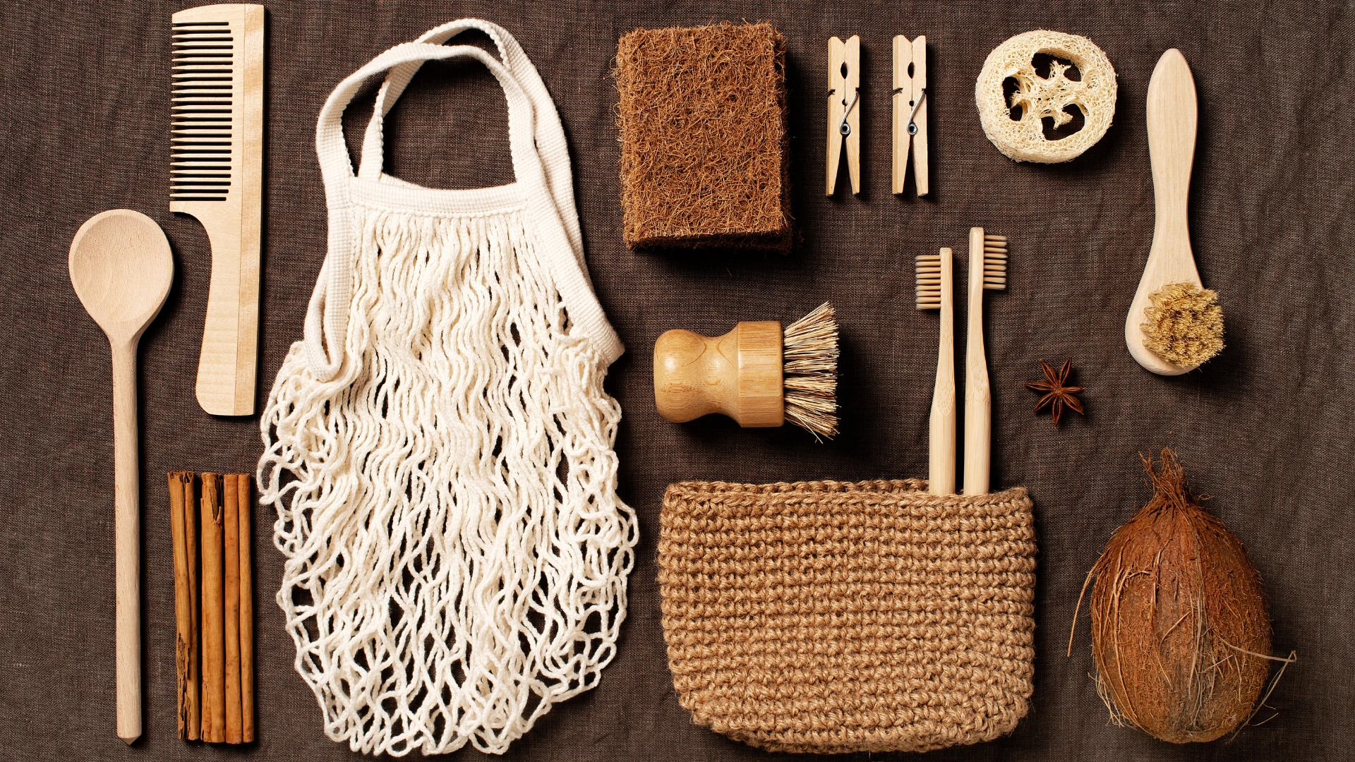 eco friendly pet product store