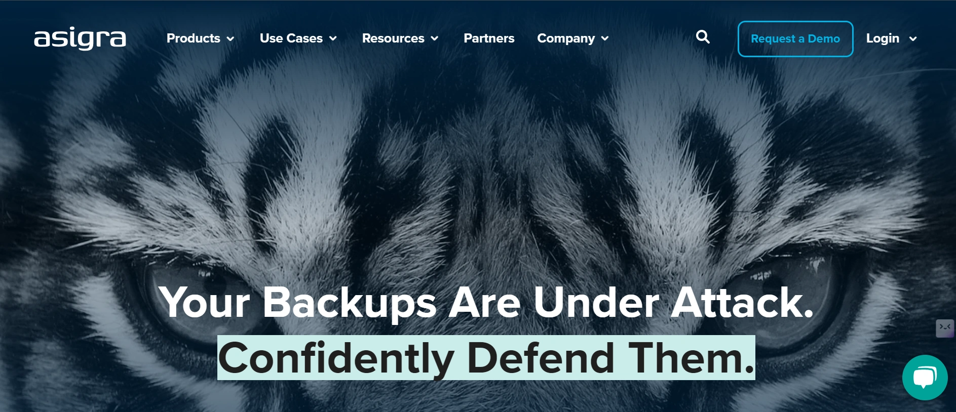 Landing Page Of Asigra