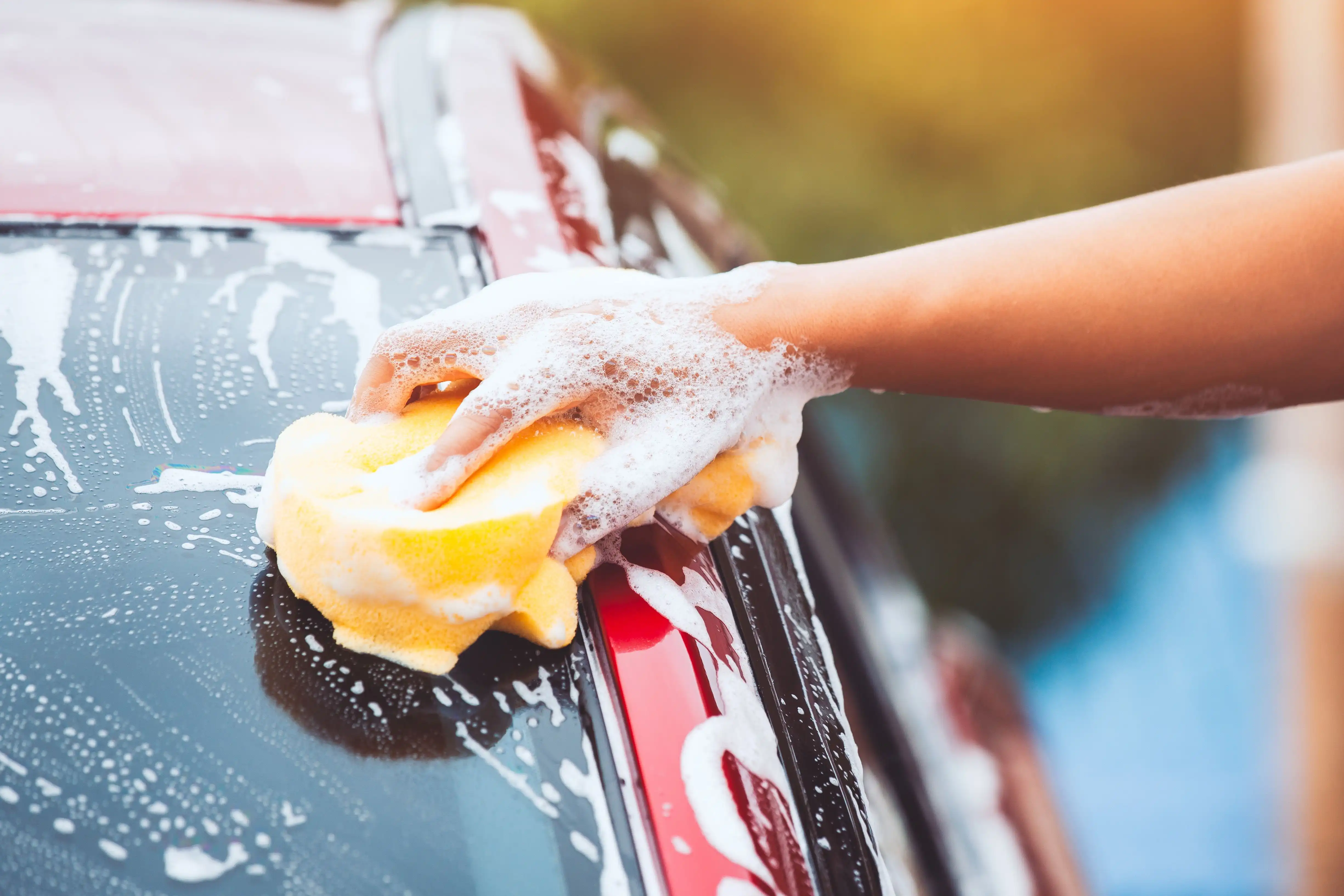 Car wash and detailing services