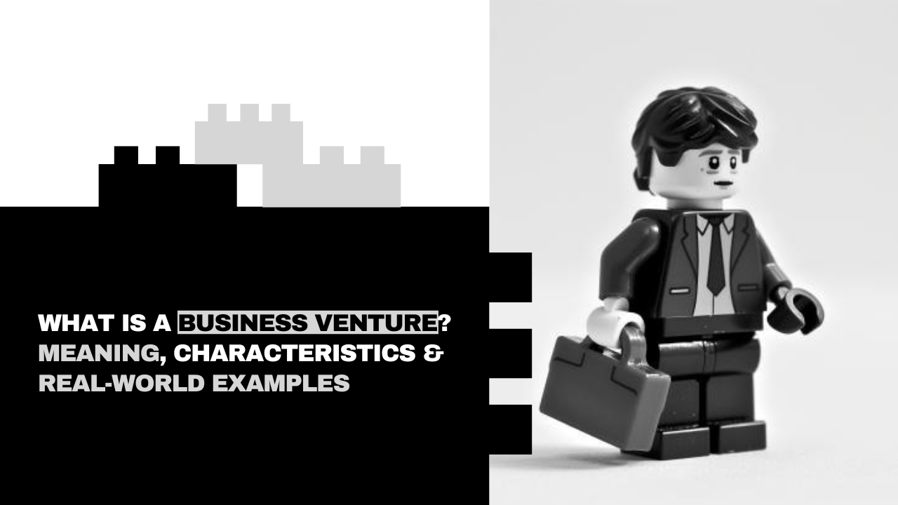 An illustration of What Is a Business Venture? Definition, Characteristics | venturz